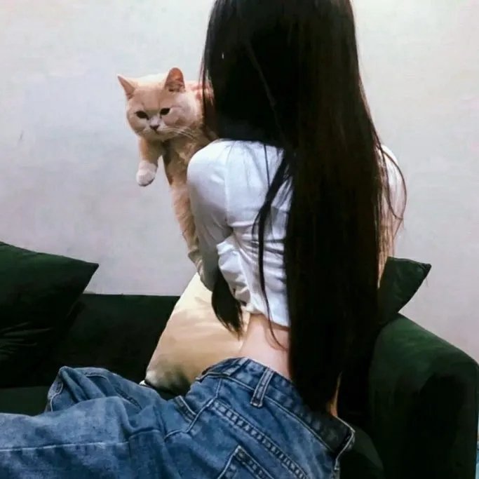 小叮当与失去的宝藏